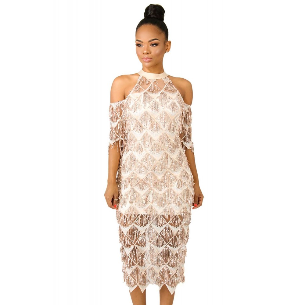 Fringe Sequin Midi Dress Fringe Sequin Midi Dress